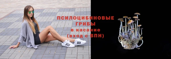 метамфетамин Алексеевка