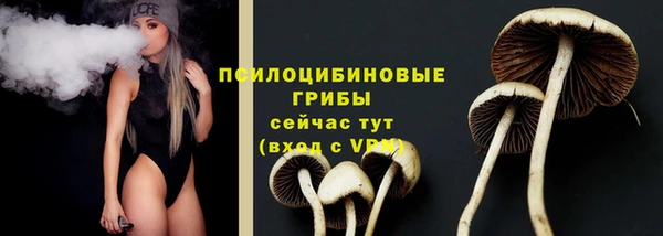 герыч Арсеньев