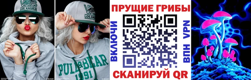 Купить где  Канаш  Псилоцибиновые грибы ЛСД 